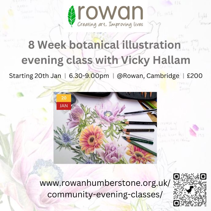 Vicky Hallam Botanical illustration evening class