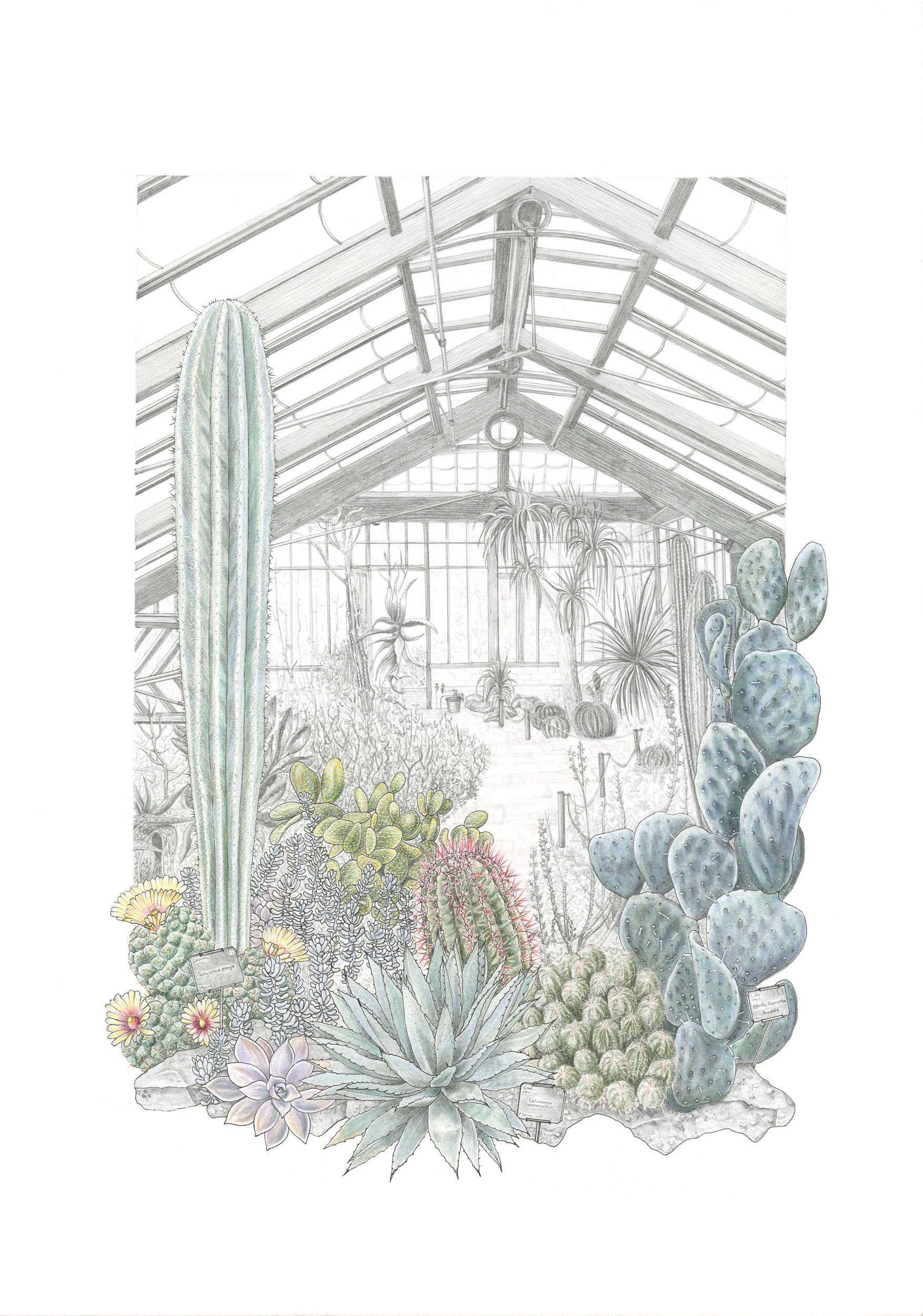 Cambridge University Botanic Garden