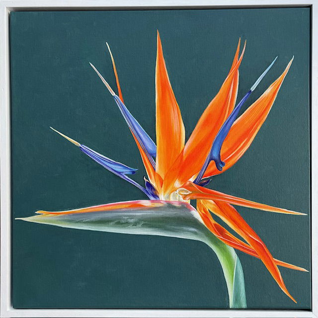 Bird of Paradise