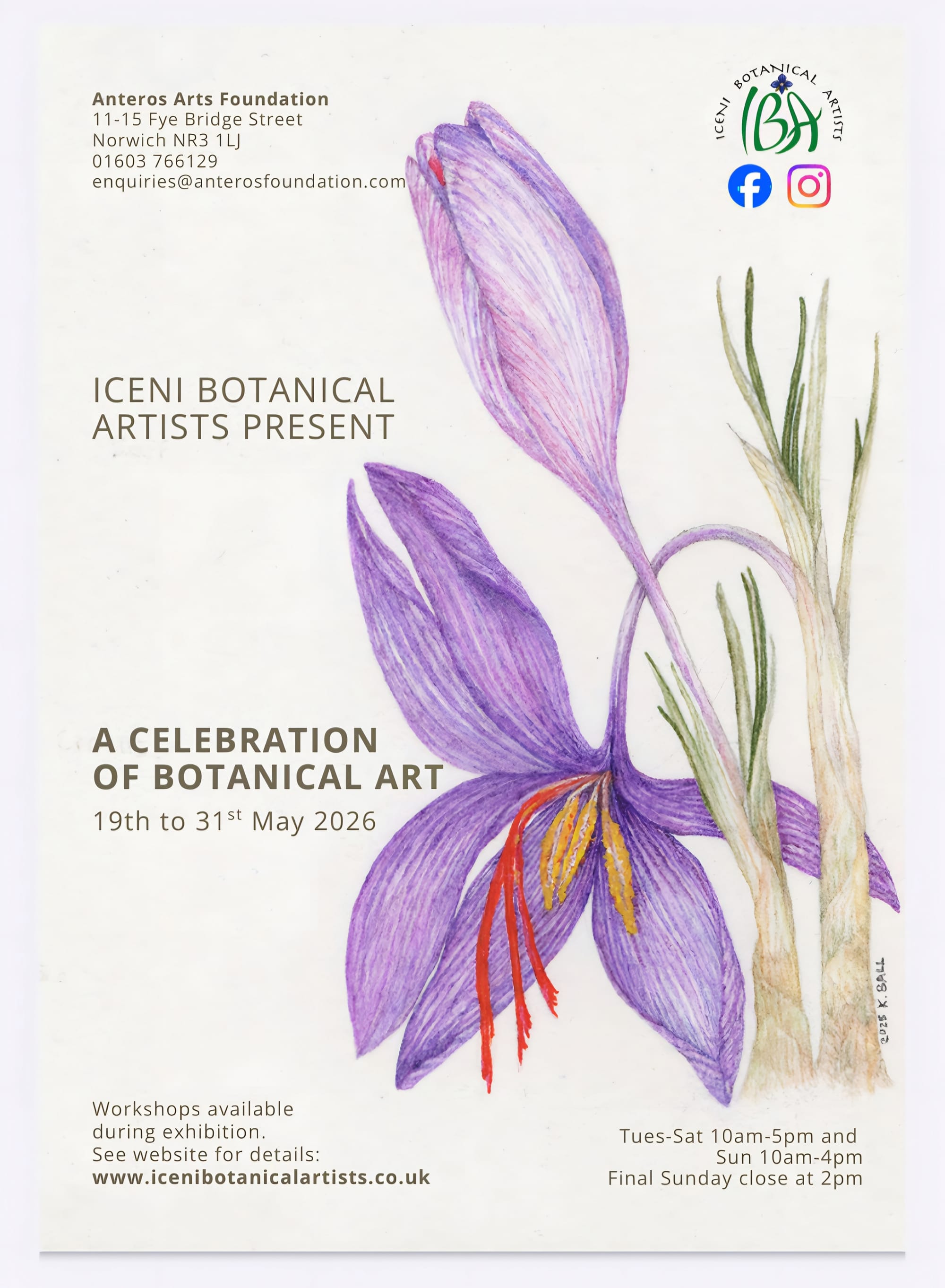 Our next exhibition is announced - 'A Celebration of Botanical Art'