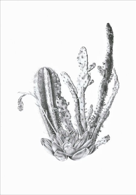 Another two workshops lined up for our next exhibition in Norwich