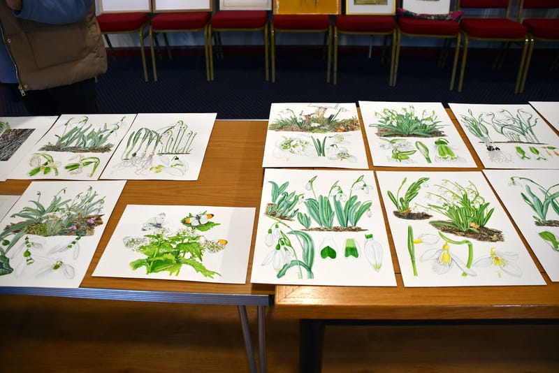 Final group meeting: Fuller's Mill Project, a sneak peak!