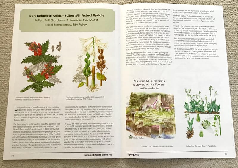 Fullers Mill Project featured in the SBA Plantae Spring Exhibition Catalogue 2025