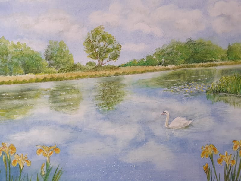 IBA Member, Doreen Taylor's special project working with Thetford Open Gardens