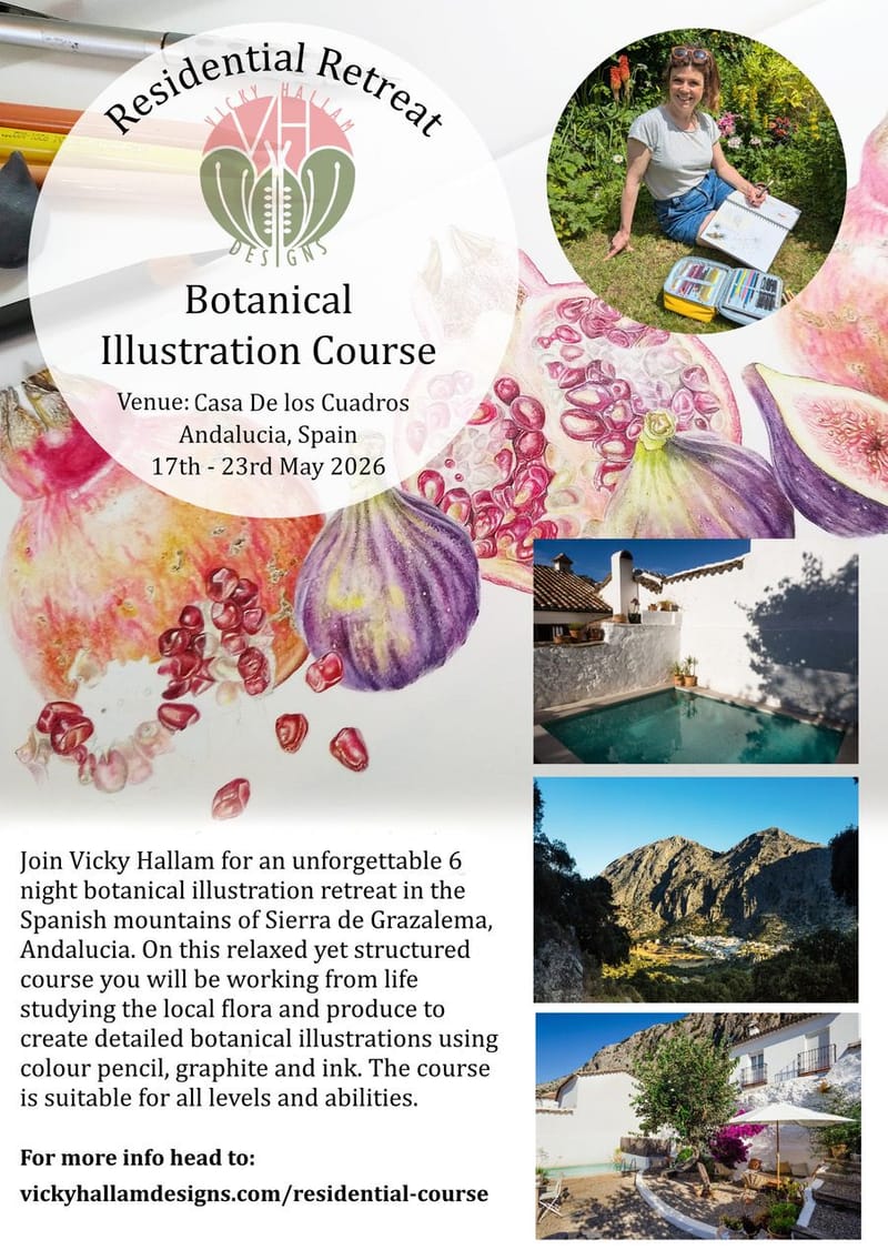 Vicky Hallam Art Retreat