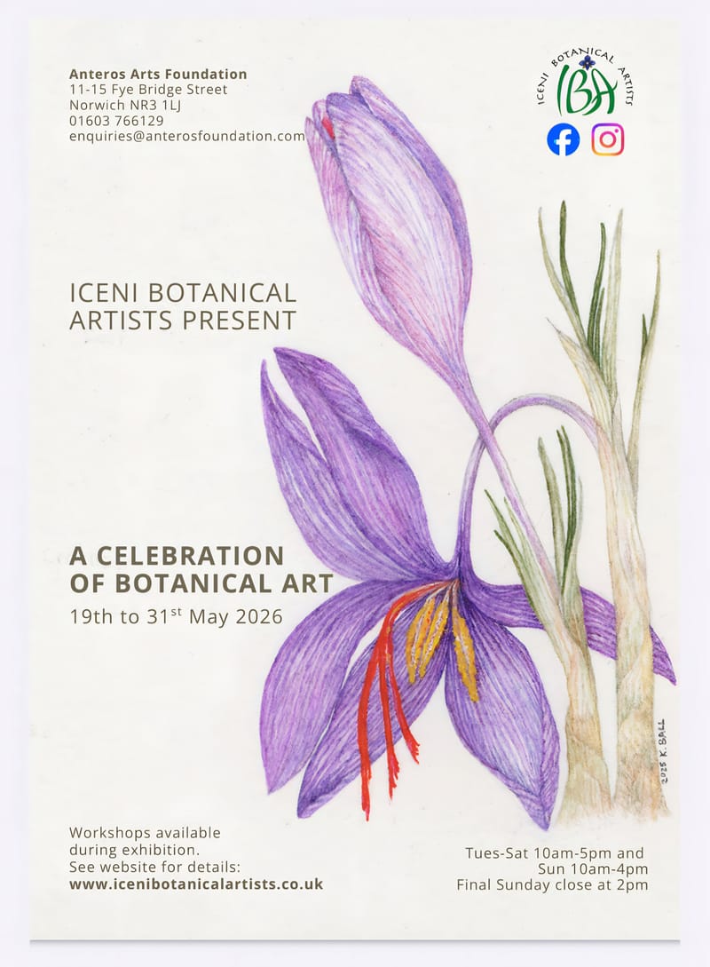 Our next exhibition is announced - 'A Celebration of Botanical Art'