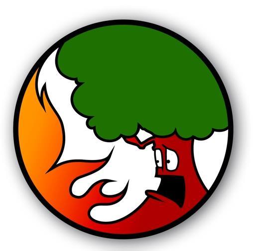 Tűzgyújtási tilalom