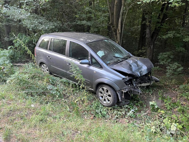 Villanyoszlopot döntött egy autó