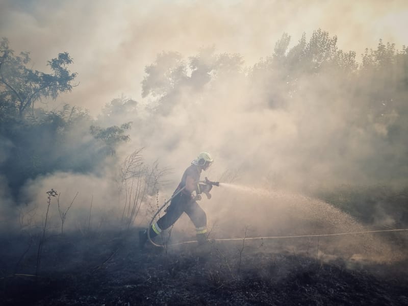 Száraz növényzet kapott lángra a Csalit-erdőben