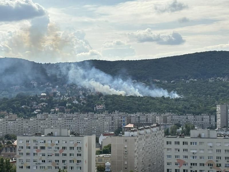 Tűz volt a Táborhegyi parkban