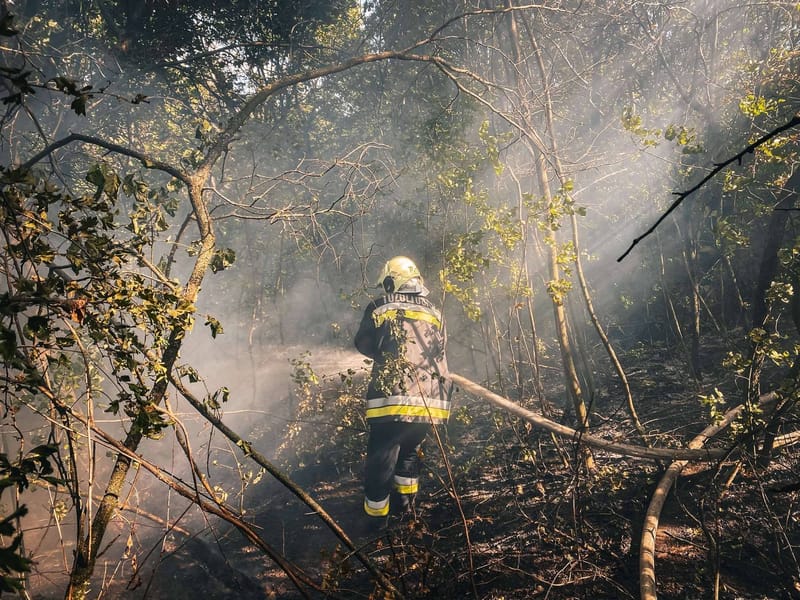 Szabadtéri tűzesetek, viharkárok, és villámcsapás miatt kigyulladt házak