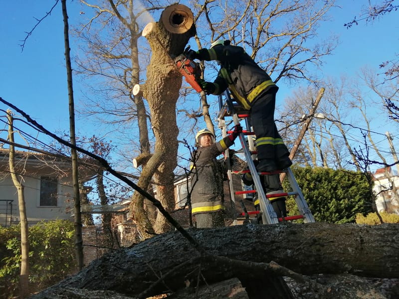 Áramszünetet okozott egy kidőlt fa Adyligeten