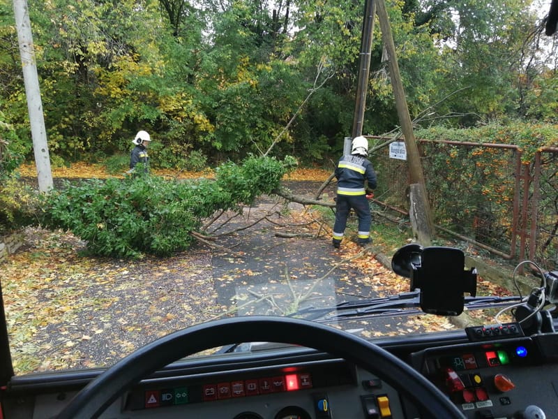 Viharkárok elhárítása reggeltől estig