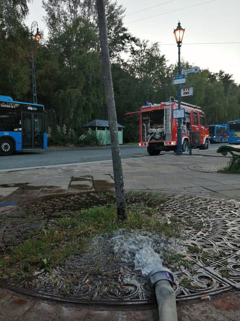 És ami még a nyáron történt ...