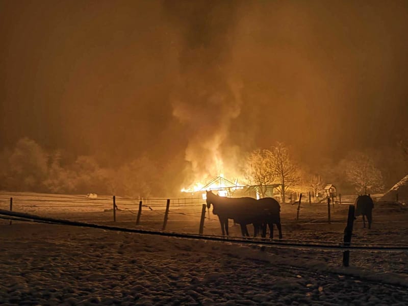 A lovardában volt tűz Budakeszi külterületén