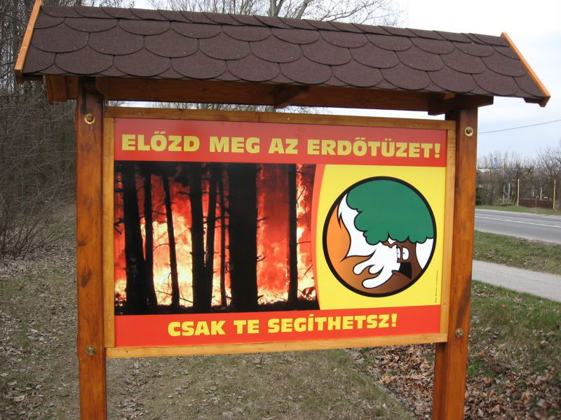 A kirándulók kezdték el oltani az erdőtüzet