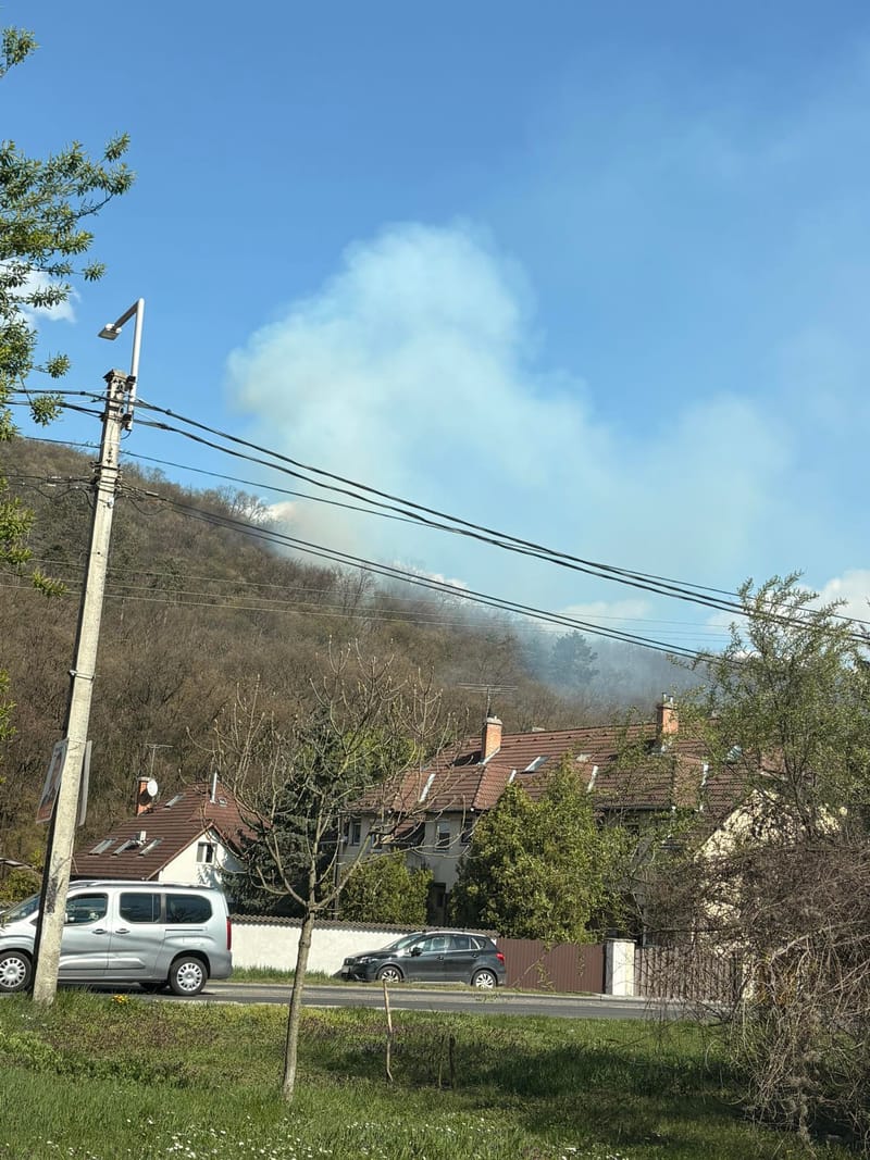 Erdőtűz volt a Les-hegyen