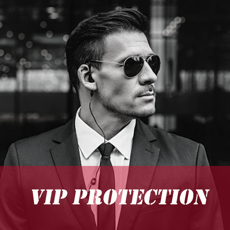 Executive Protection Training