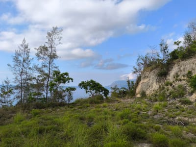 Di Bukit Transfigurasi: Menghadirkan Damai bagi Jiwa yang Terpisah