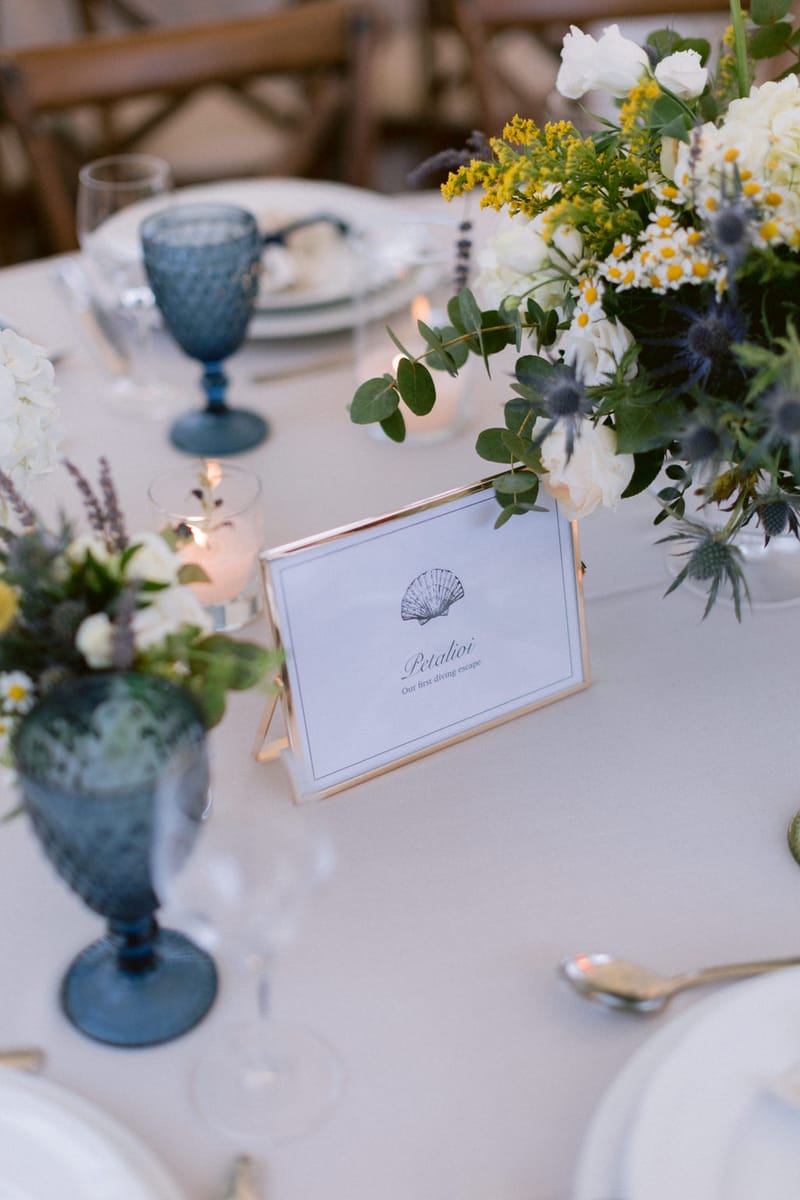 Wedding Ceremony and Reception Set up