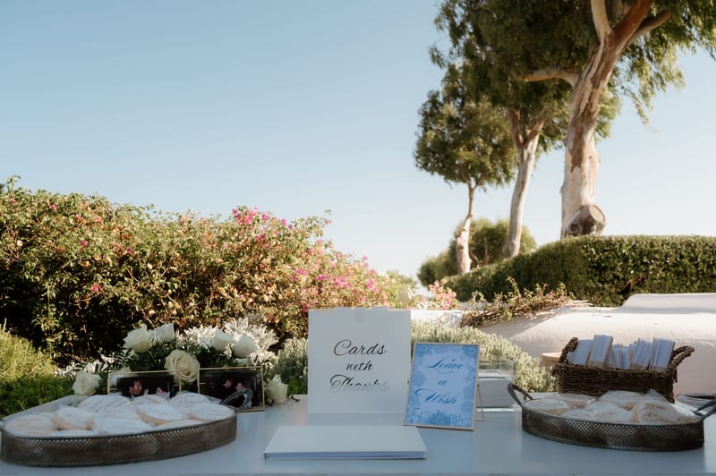 Aleksandra & Michael Wedding in Athens