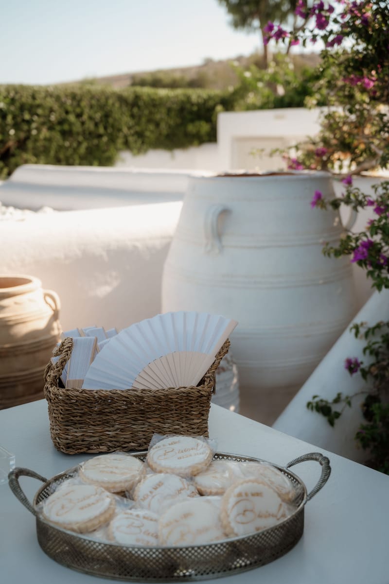 Aleksandra & Michael Wedding in Athens