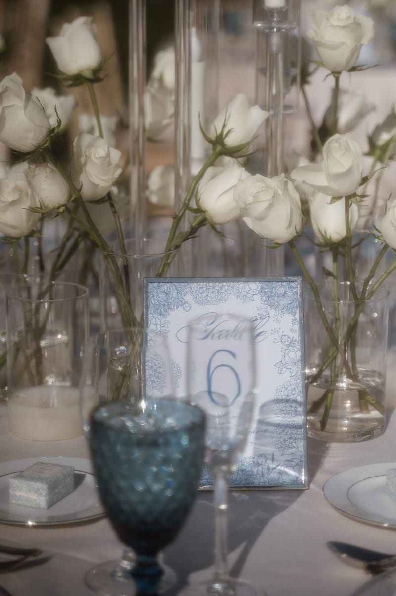 Aleksandra & Michael Wedding in Athens