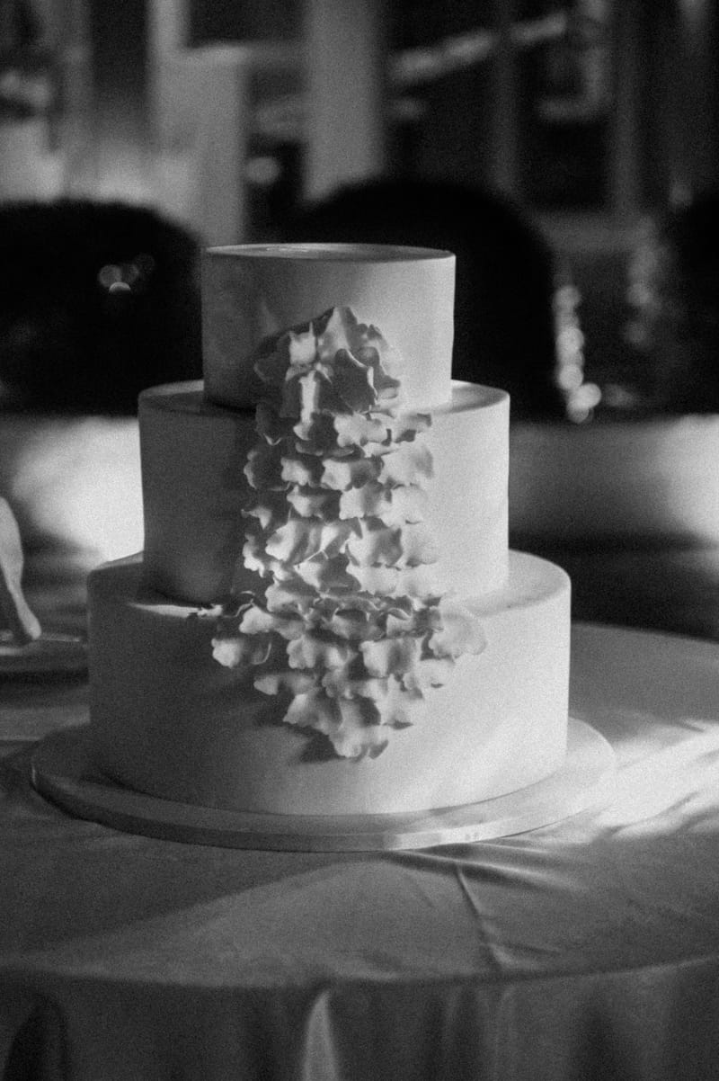 Reception - Speeches - Wedding Cake and First Dance