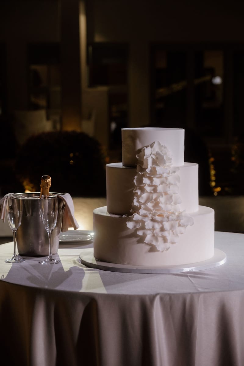 Reception - Speeches - Wedding Cake and First Dance