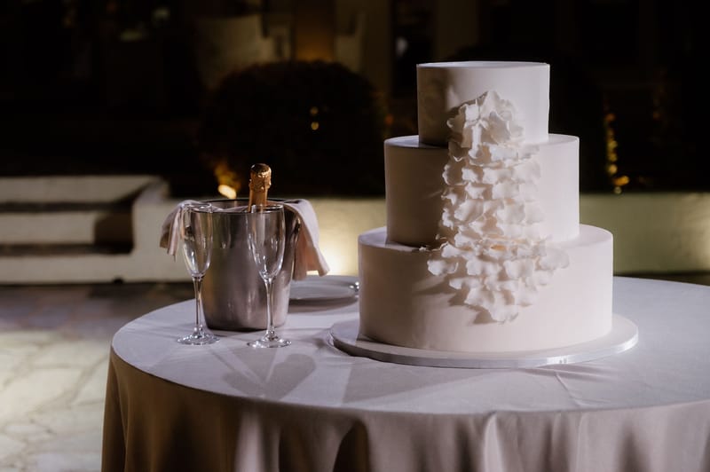 Reception - Speeches - Wedding Cake and First Dance