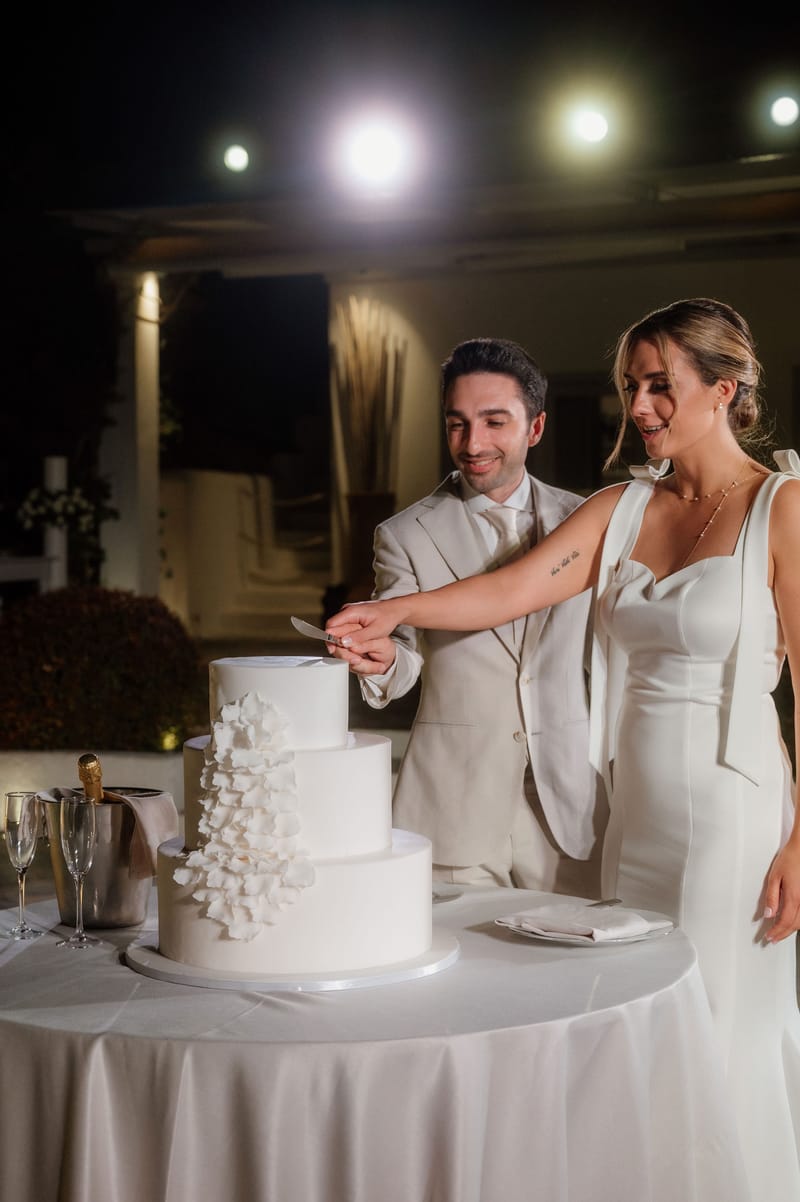 Reception - Speeches - Wedding Cake and First Dance