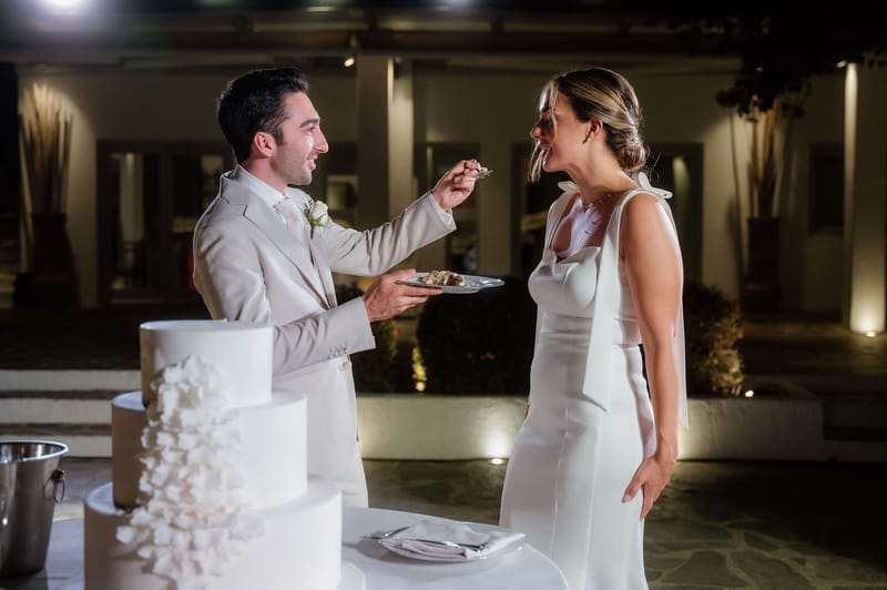 Reception - Speeches - Wedding Cake and First Dance