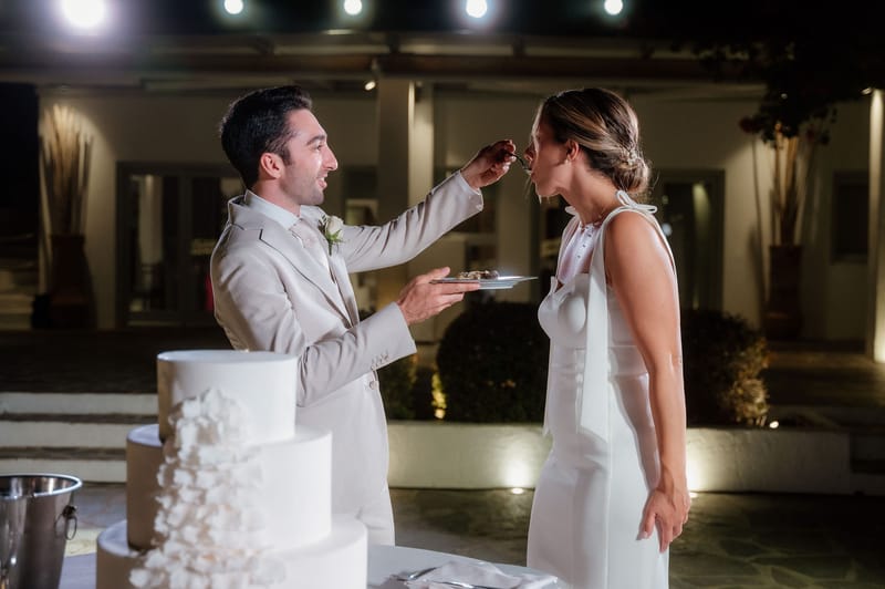 Reception - Speeches - Wedding Cake and First Dance