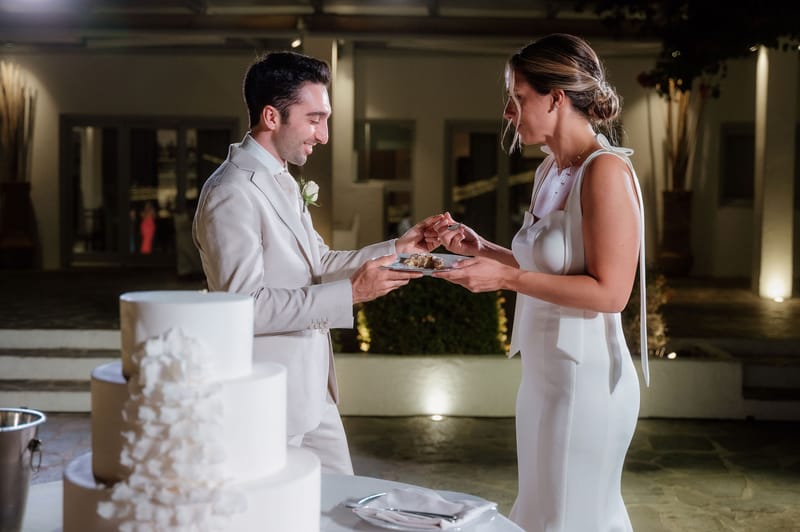 Reception - Speeches - Wedding Cake and First Dance