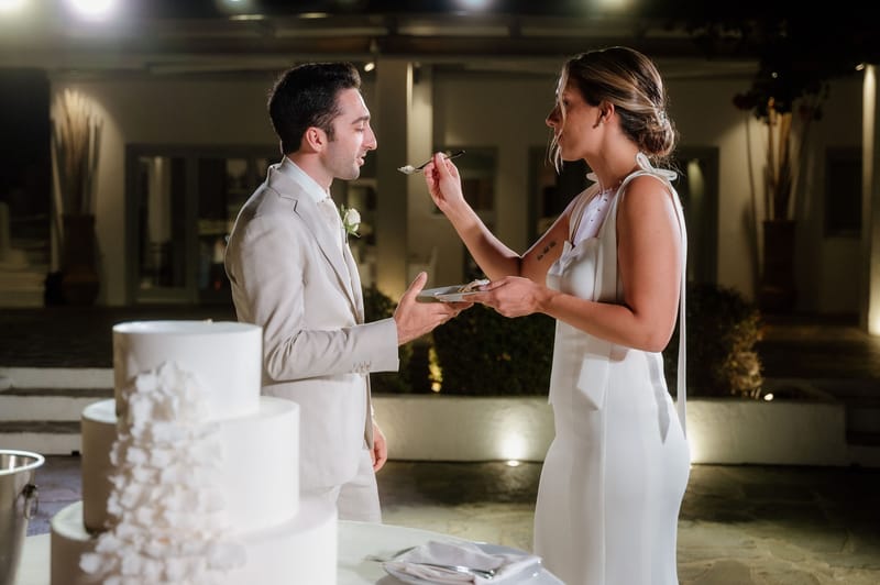 Reception - Speeches - Wedding Cake and First Dance