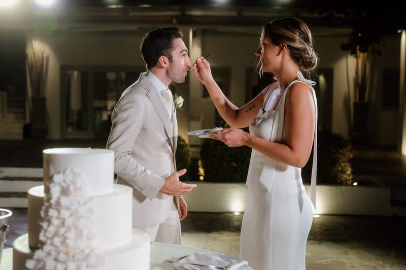 Reception - Speeches - Wedding Cake and First Dance