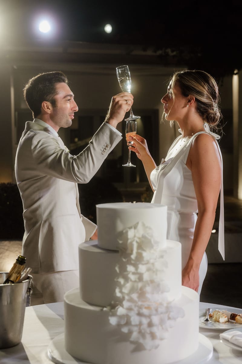 Reception - Speeches - Wedding Cake and First Dance