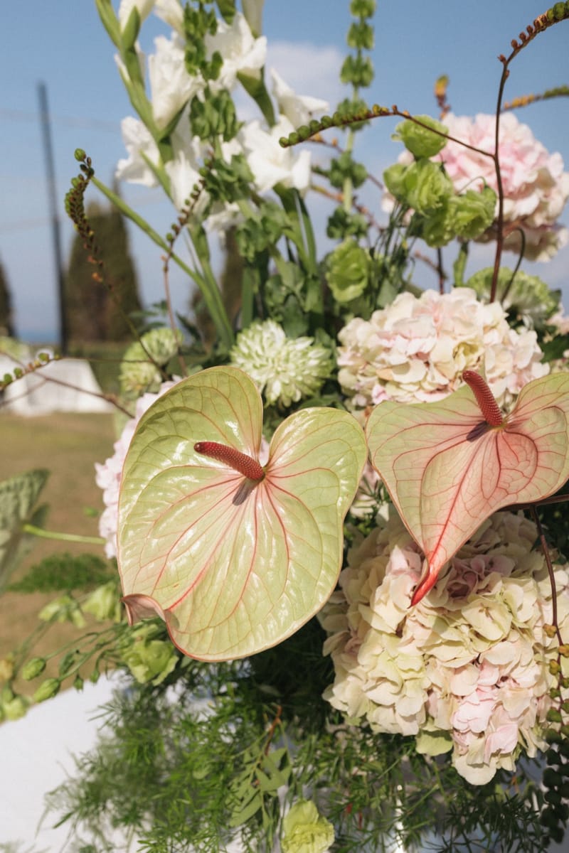 Jasmine & Michael Wedding in Corfu Island