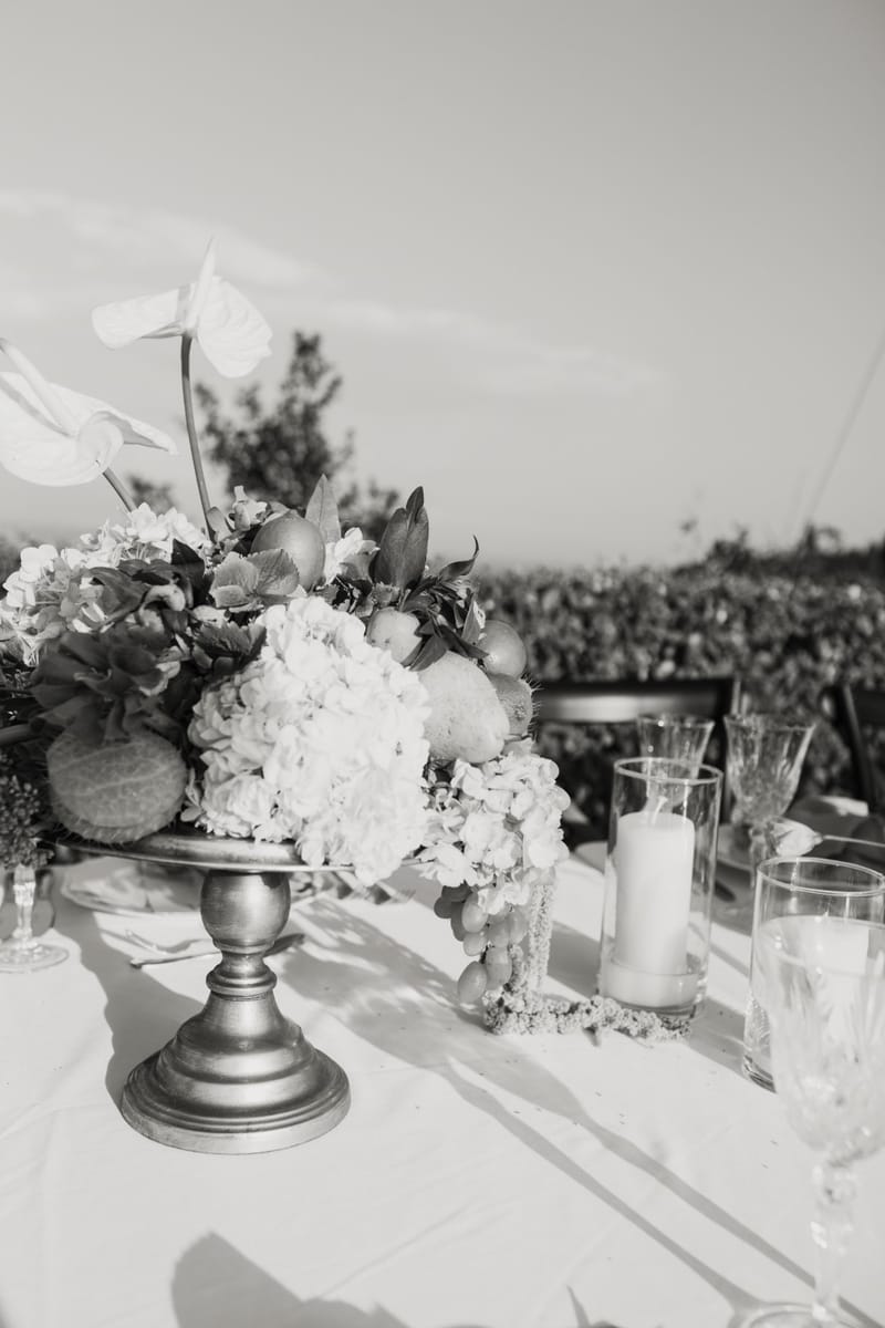 Jasmine & Michael Wedding in Corfu Island