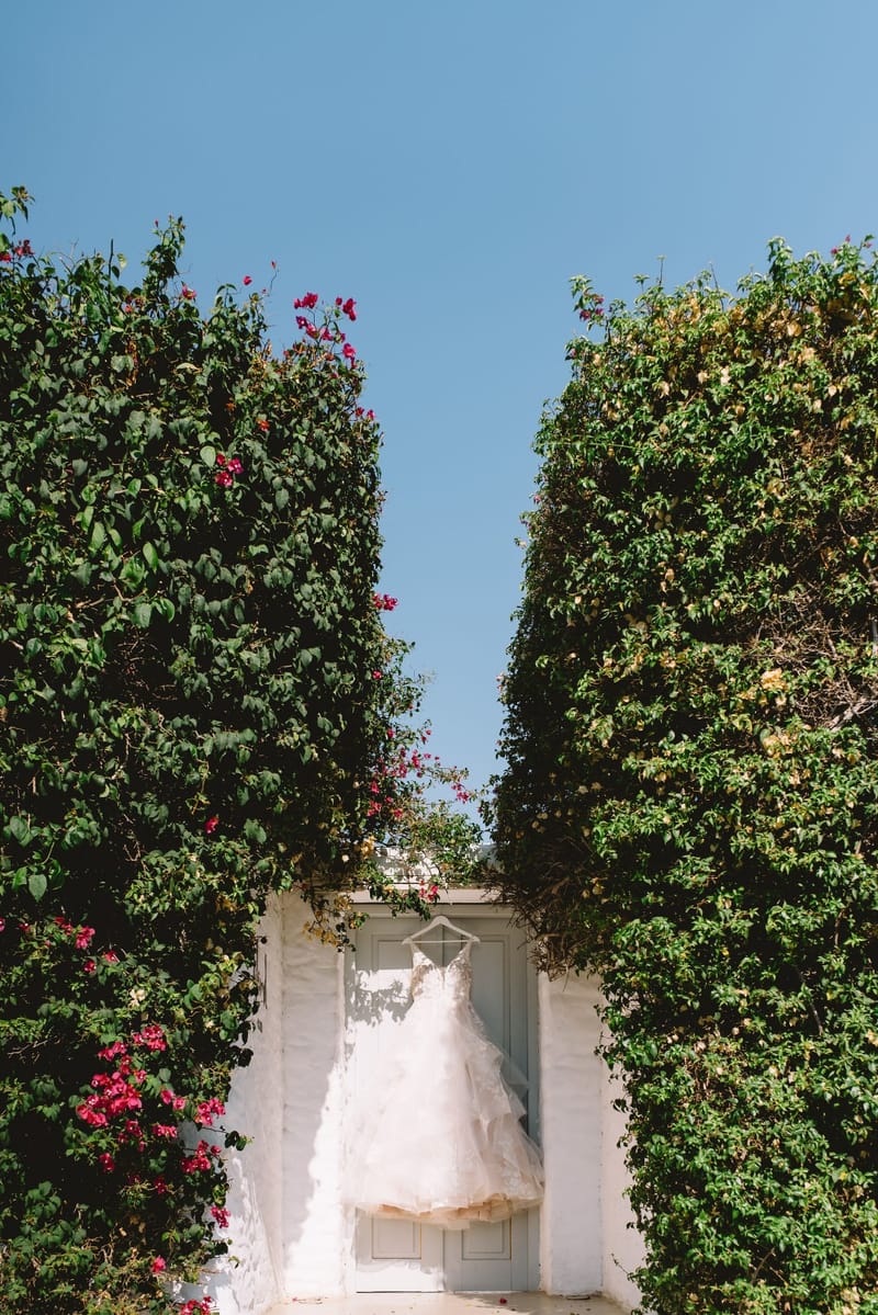 Bride and Groom Preparation