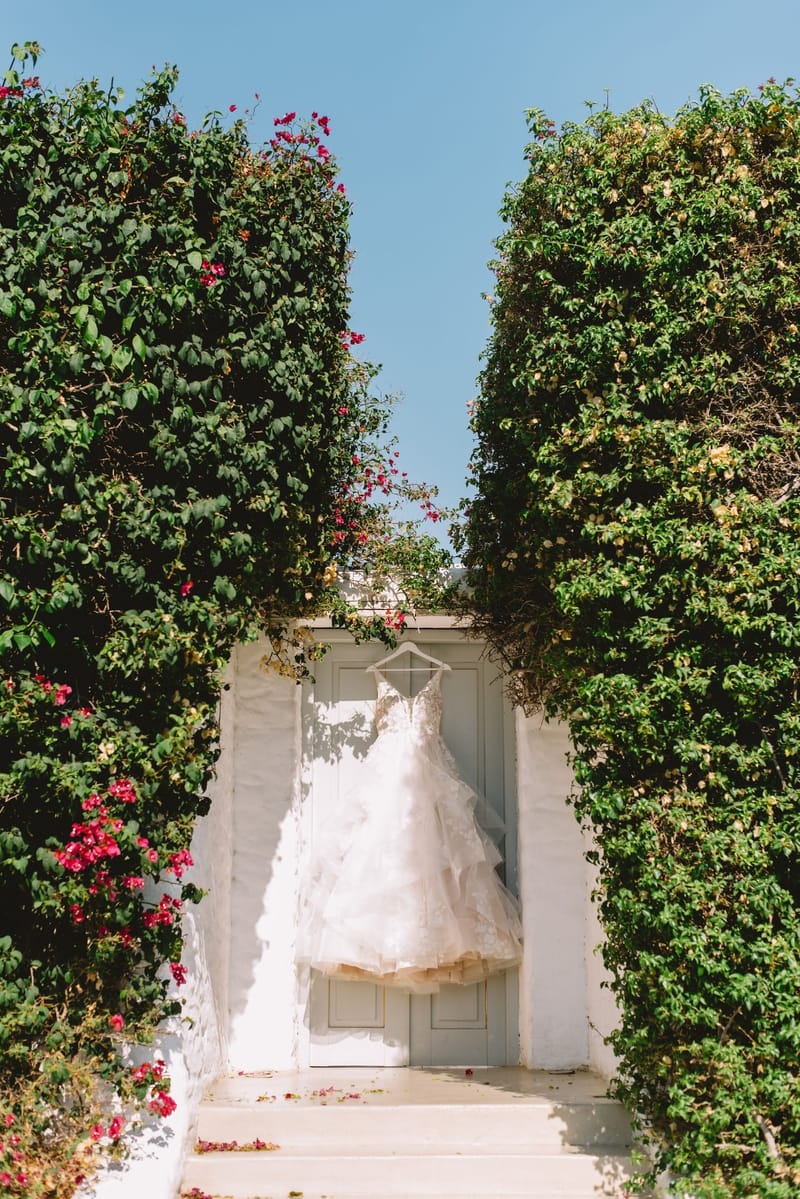 Bride and Groom Preparation