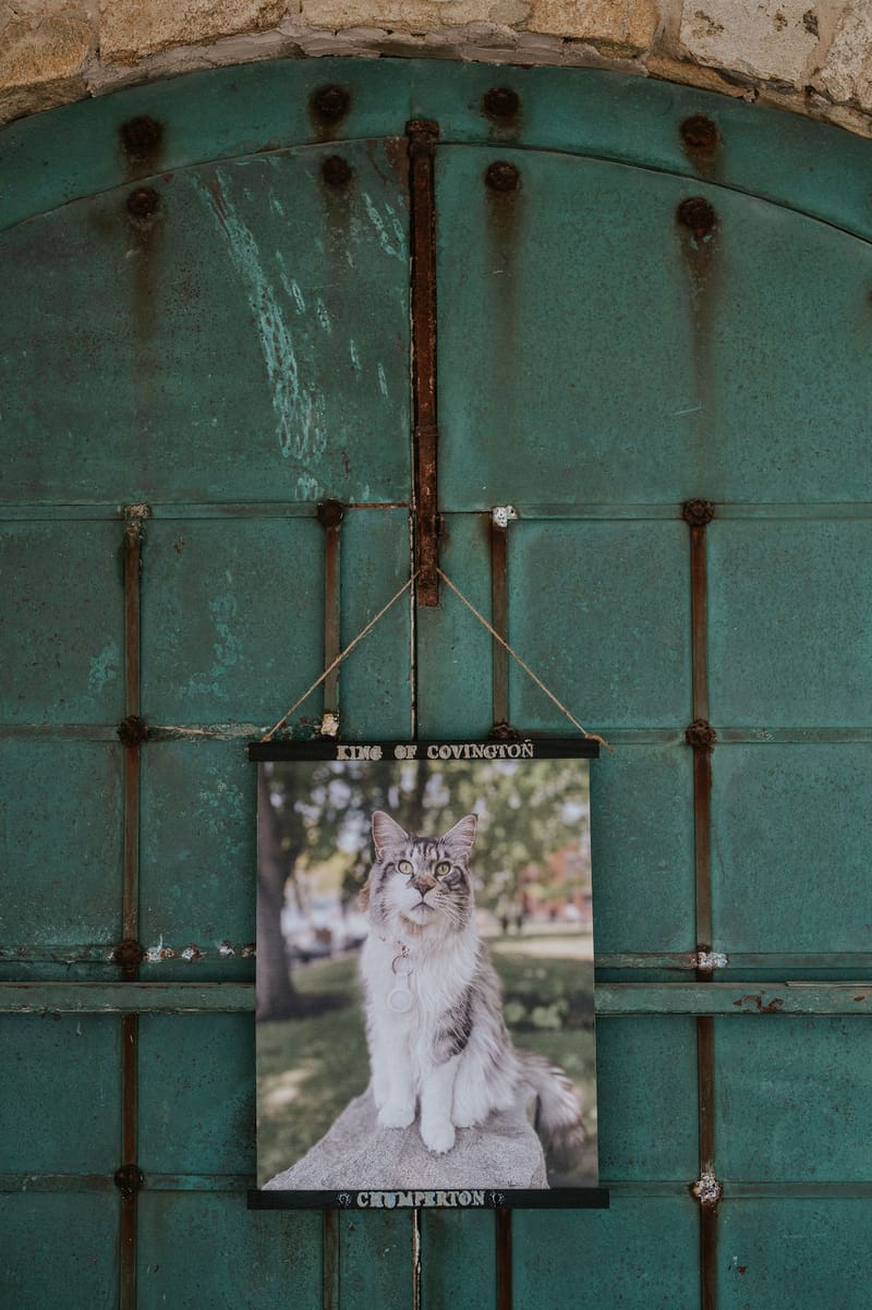 Cara and Mike Wedding in Mykonos Island