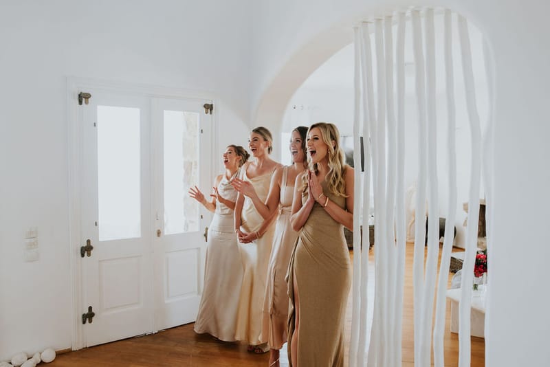 Cara and Mike Wedding in Mykonos Island