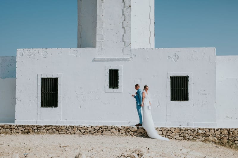 Cara and Mike Wedding in Mykonos Island
