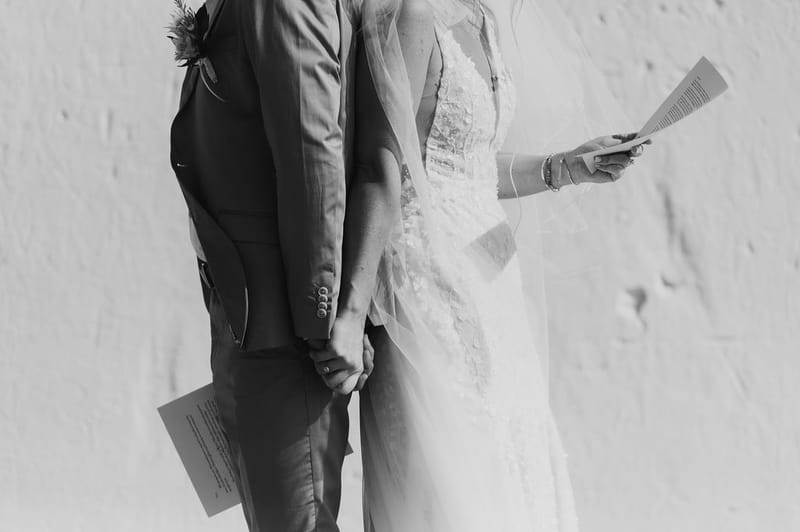 Cara and Mike Wedding in Mykonos Island