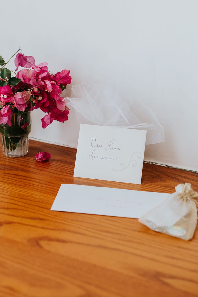 Cara and Mike Wedding in Mykonos Island