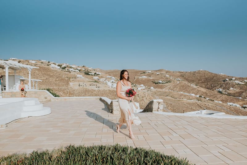 Cara and Mike Wedding in Mykonos Island