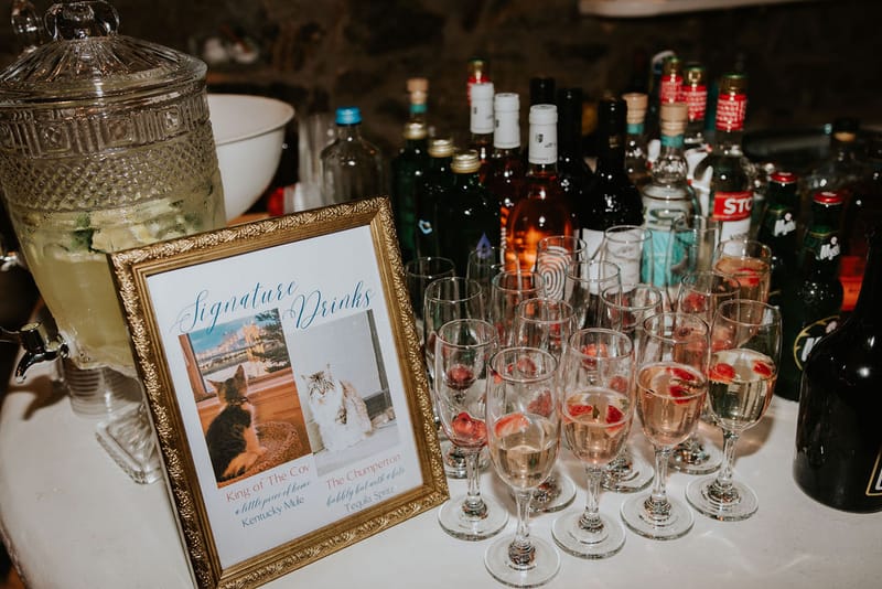 Cara and Mike Wedding in Mykonos Island