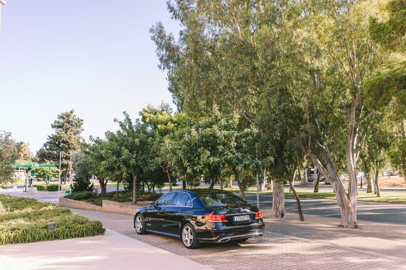 A Love Story Sealed in Sunlight and Sea Breeze: The Wedding of Jordan & Alexandra