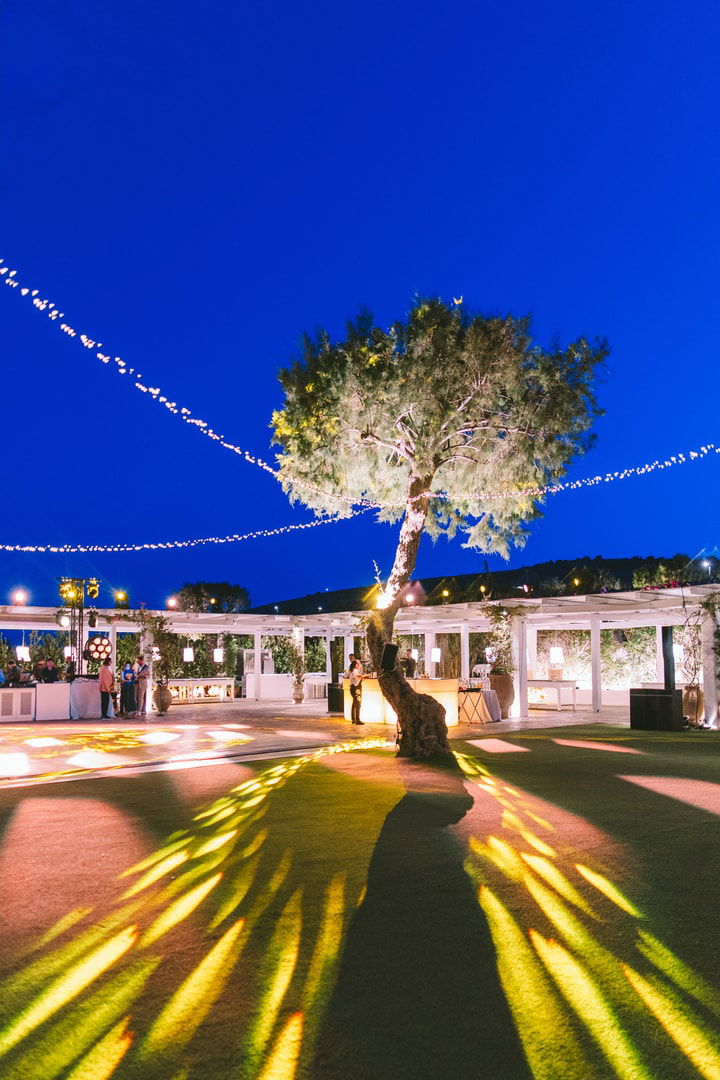 A Love Story Sealed in Sunlight and Sea Breeze: The Wedding of Jordan & Alexandra